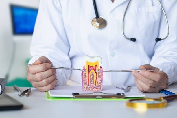 Best Urgent Tooth Repair  in Melrose Park, NY
